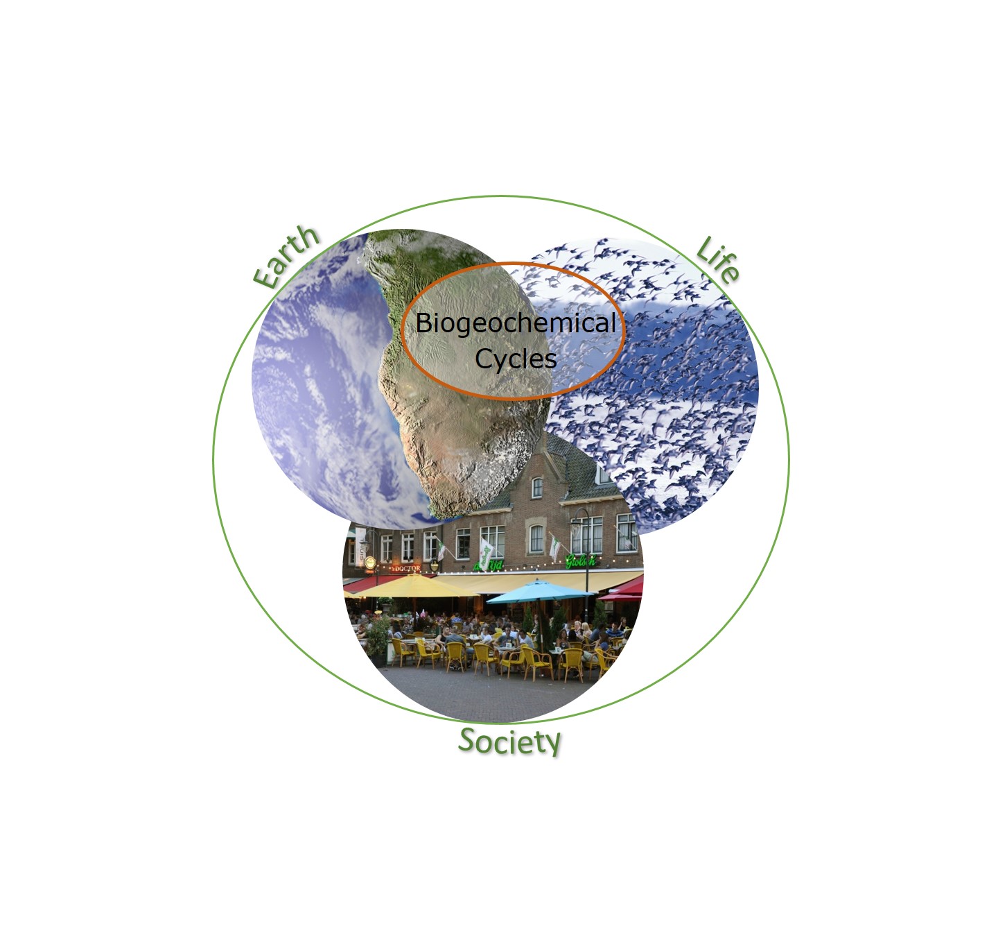 Biogeochemical Cycles - WUR